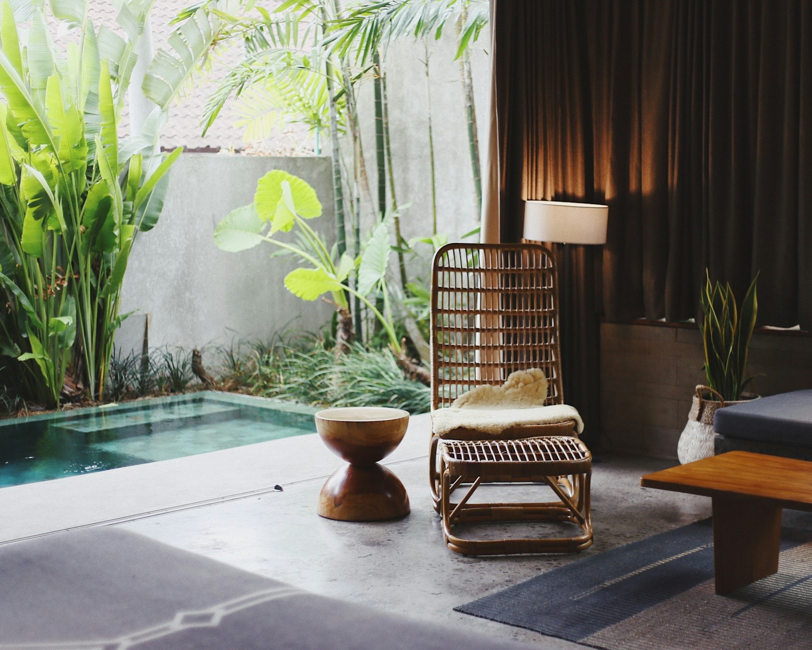 The warm, plant-filled lounge at Lueur Aesthetics